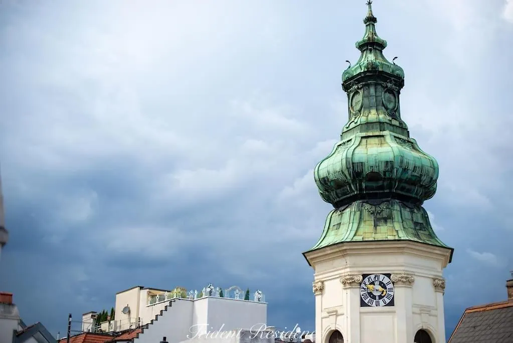 Zum Blauen Karpfen Apartment Vienna