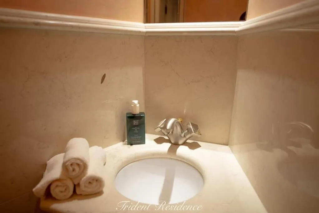 Zum Blauen Karpfen Apartment Vienna