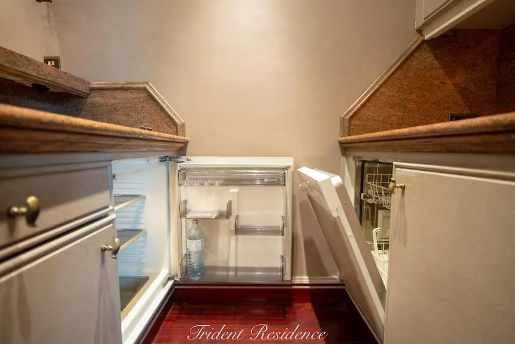 Zum Blauen Karpfen Apartment Vienna